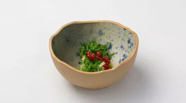 plating-instructions-image